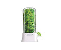 Prepara Herb Savor Eco Fresh Herb Keeper, White/Green
